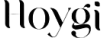 Hoygi Logo
