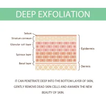 Hoygi Herbal Extract Brightening Exfoliating Gel